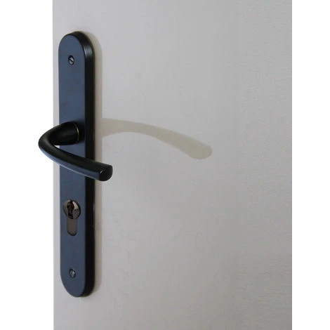 Ensemble Poignée De Porte Perney En Zamak Sur Plaque Acier Avec Trou Cylindre Décor Noir/mat