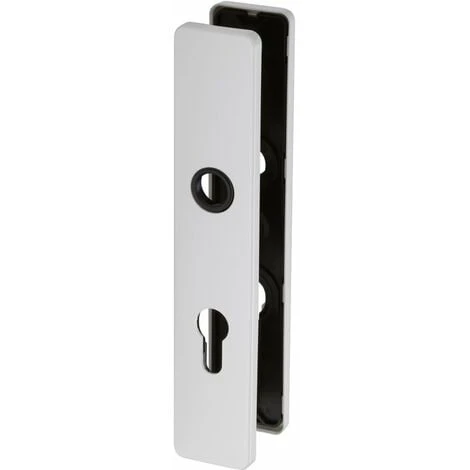 Plaque Blanche - Clé I - ARCOLOR 710 Et 232 - La Paire - Vachette