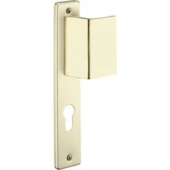 THIRARD - Poignée Pour Porte D'entrée Palière Renforcée Picardie Trou De Cylindre, Carré 7mm, Entr'axes 195mm, Couleur F2